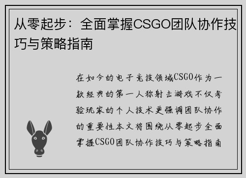 从零起步：全面掌握CSGO团队协作技巧与策略指南