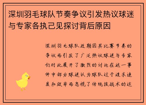 深圳羽毛球队节奏争议引发热议球迷与专家各执己见探讨背后原因