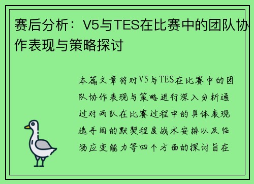 赛后分析：V5与TES在比赛中的团队协作表现与策略探讨